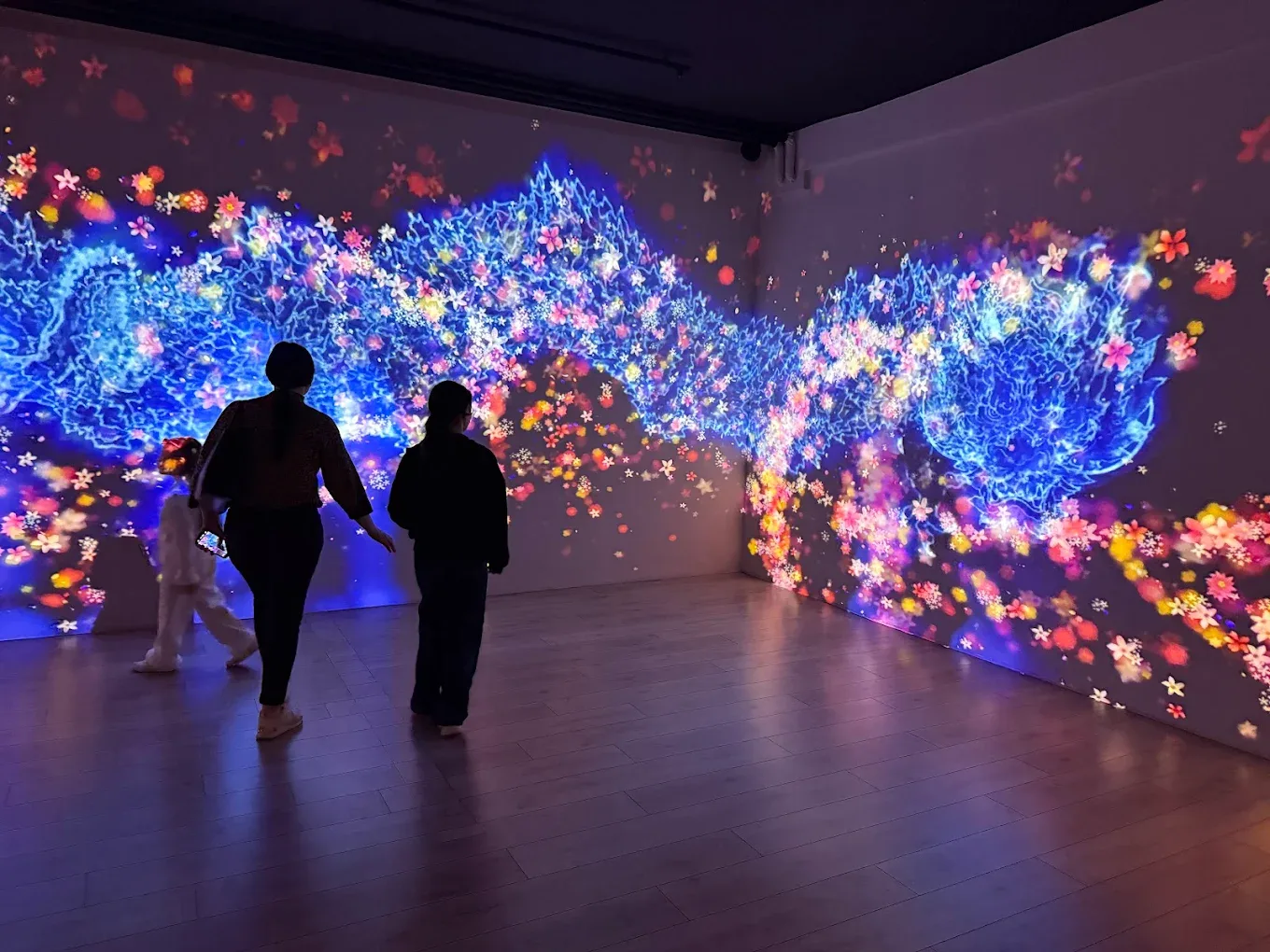 Sensorica - Immersive Experience Museum — Кишинёв — фото 1