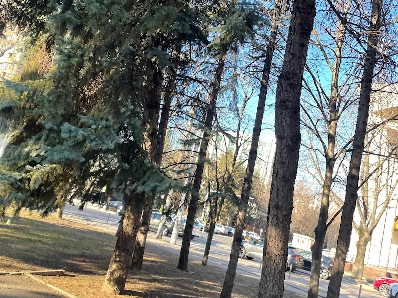 Сквер им. Николая Гоголя