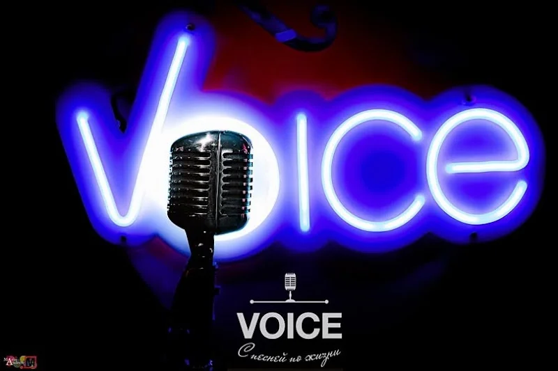 VOICE vocal CLUB karaoke