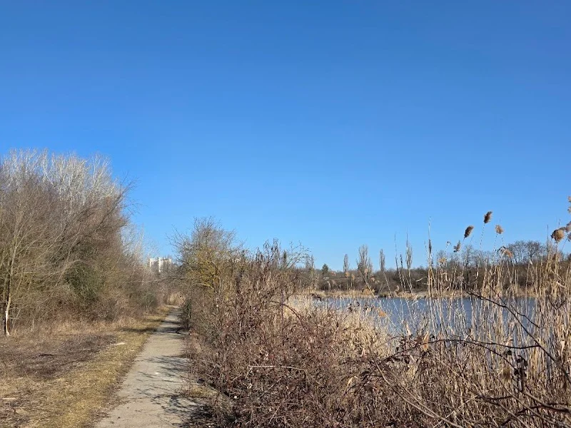 Лесопарк "Восьмерка"