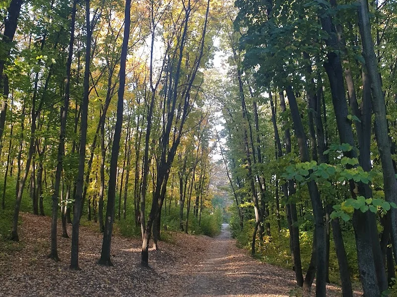 Парк Рышкановка-Старая почта