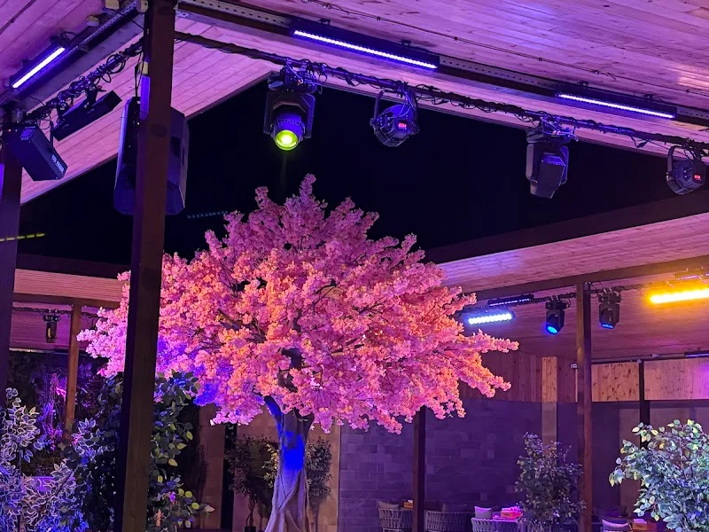 Drive Pub
