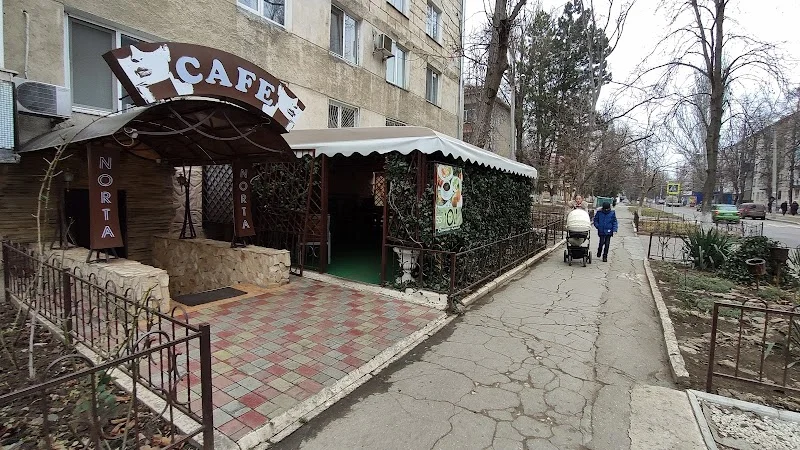 Cafe NORTA PLUS — Кишинёв — фото 1