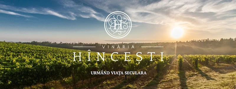 Vinăria Hânceşti — Кишинёв — фото 1