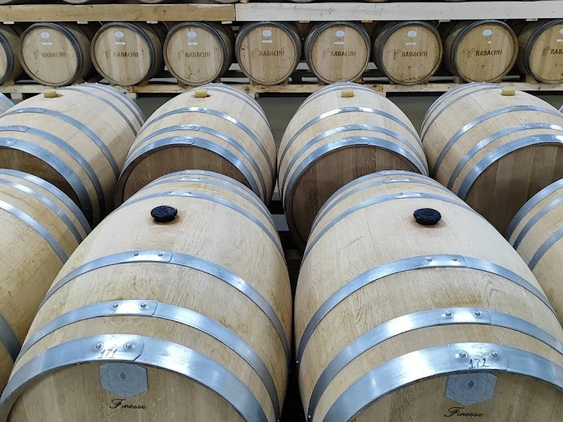 Винодельня "Radacini Wines" — Кишинёв — фото 1