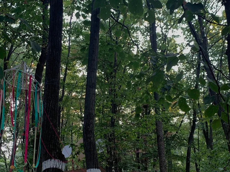 Parcul Verde eco-camp — Страшены — фото 1