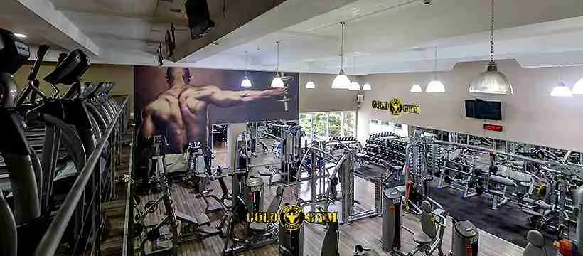 Gold Gym Fitness