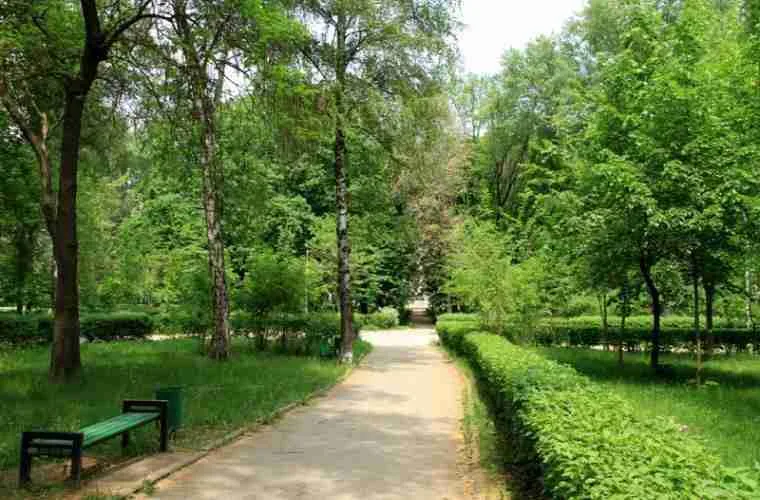 Парк Алунелул