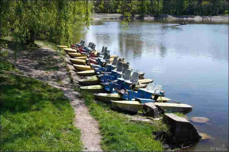 Парк Бориса Главана / Рышкановка