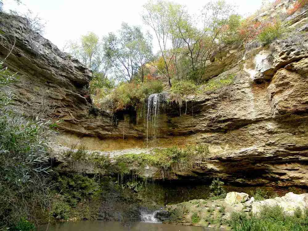 Природный заповедник «Цыпова»