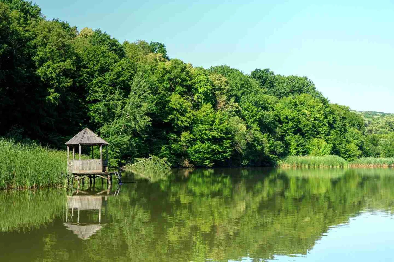 Заповедник Плаюл Фагулуй