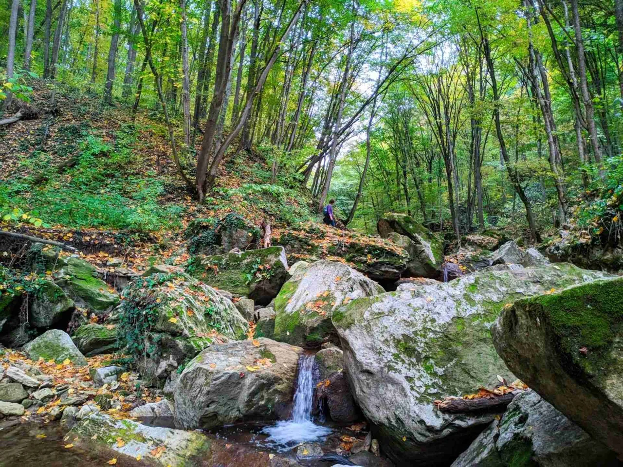 Заповедник - Рудь Арионешть