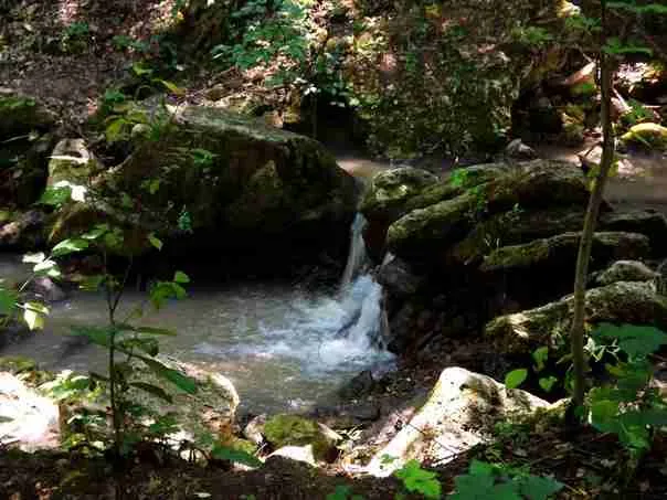 Заповедник - Сахарна