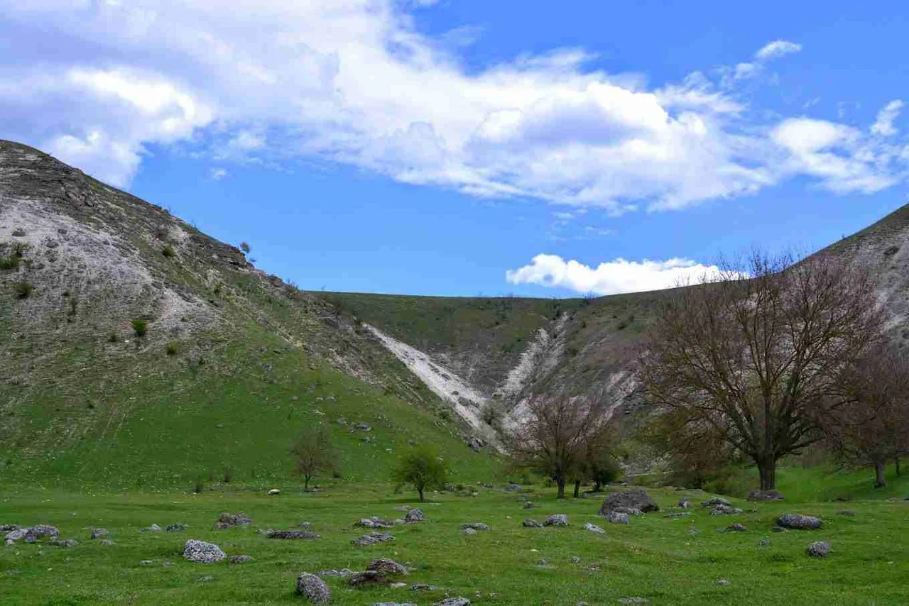 Заповедник Требужены